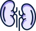 تحاليل الكلى