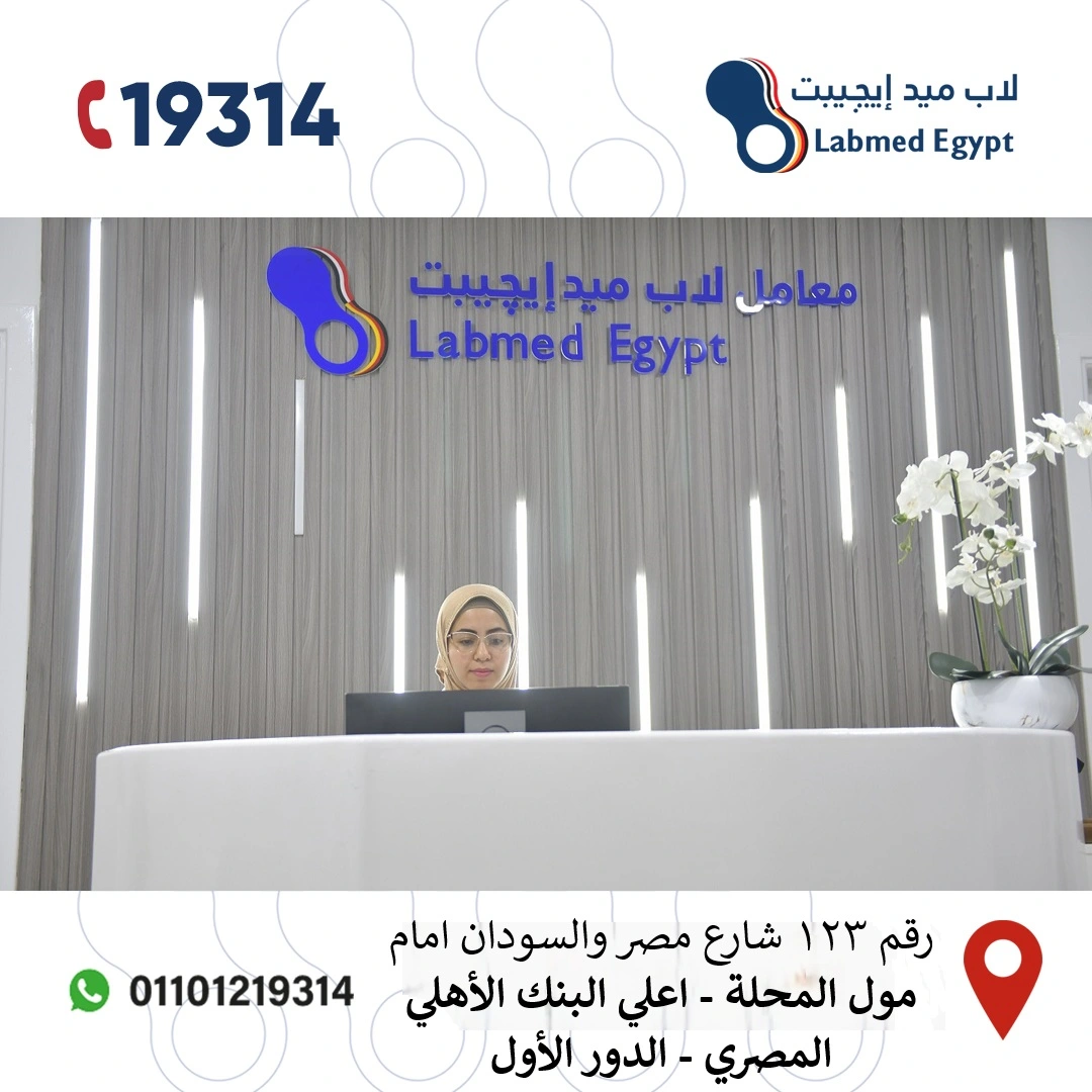 كوبري القبة